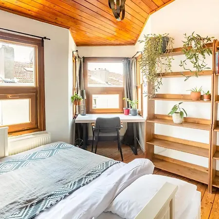 Apartment Cosy Roof Flat On 5th Floor With Bosphorus View